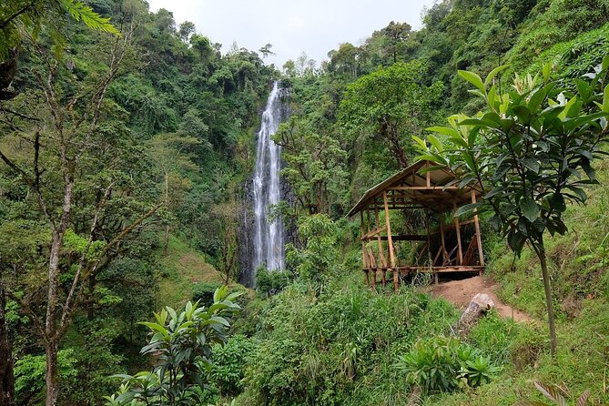 Materuni waterfalls,coffee tour & Kikuletwa(Chemka)Hot Springs - Key things to know before you go