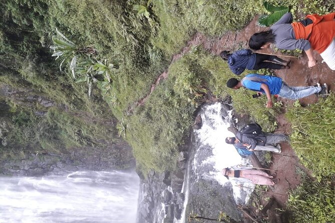 Materuni waterfalls,coffee tour & Kikuletwa(Chemka)Hot Springs - Coffee farm tour with a real lesson, then lunch