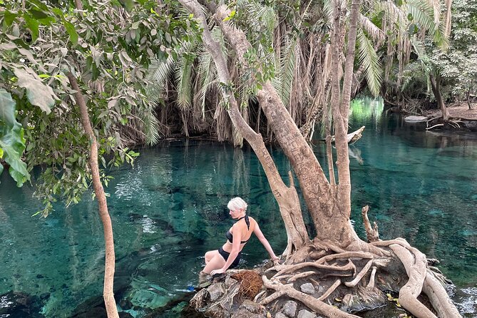 Materuni waterfalls,coffee tour & Kikuletwa(Chemka)Hot Springs - Value and included extras: why the $100 price can make sense