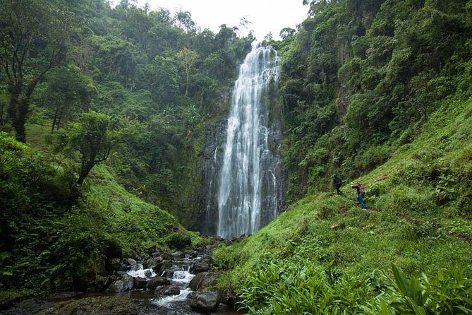 Materuni Waterfalls, coffee tour & Kikuletwa Hot Springs - Key highlights worth your attention