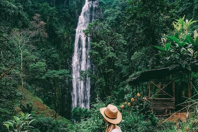 Materuni Waterfalls, coffee tour & Kikuletwa Hot Springs - Materuni Waterfalls hike: 80-meter falls, muddy trails, big views