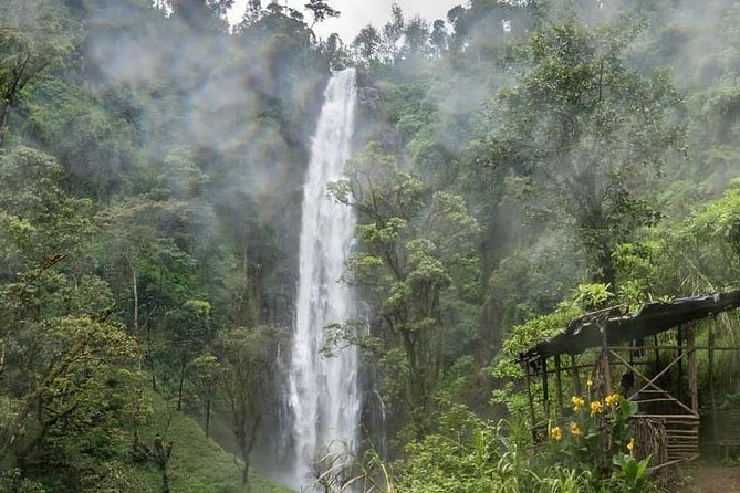 Materuni Waterfalls, coffee tour & Kikuletwa Hot Springs - The road from Arusha or Moshi: pickup, bumpy sections, and pacing