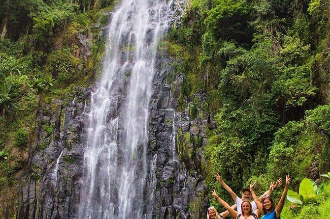 Materuni Waterfalls, coffee tour & Kikuletwa Hot Springs - Price and value: what $100 buys you in real terms