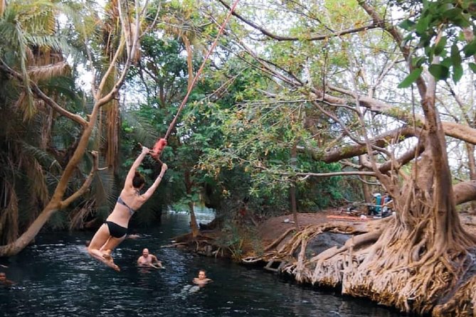 Materuni Waterfalls, coffee tour & Kikuletwa Hot Springs - Who should book this day trip, and who should skip it