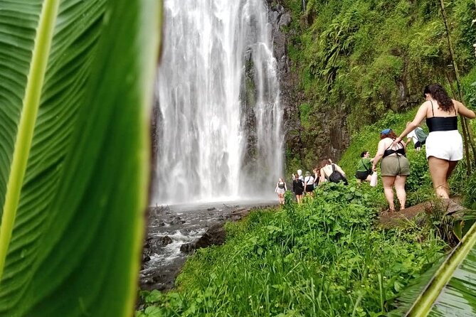 Materuni Waterfalls Hiking Tour with Coffee and Traditional Meal - Key highlights to look forward to