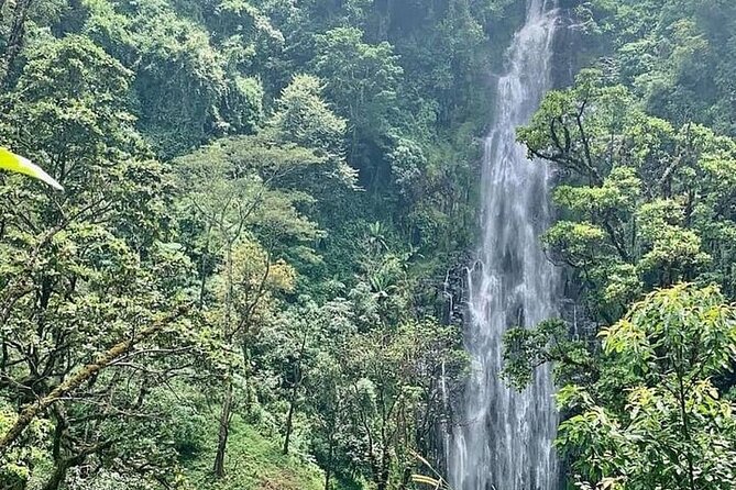 Materuni Waterfalls, Kikuletwa Chemka Hot springs, Coffee tour - Key things that make this day work