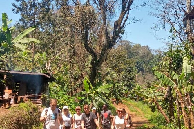 Materuni Waterfalls, Kikuletwa Chemka Hot springs, Coffee tour - What to watch for: shoes, swim time, and weather reality