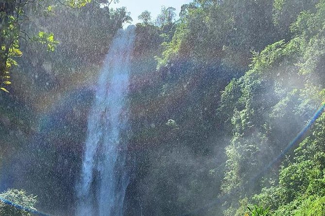 Materuni Waterfalls, Visiting Chagga Village, CoffeeTour Kikuletwa Hotsprings - Kikuletwa Hot Springs: Warm Pools as Your Reward