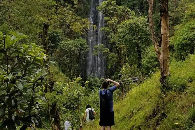Materuni Waterfalls, Visiting Chagga Village, CoffeeTour Kikuletwa Hotsprings - Price and Value: What $100 per Person Buys You in Tanzania