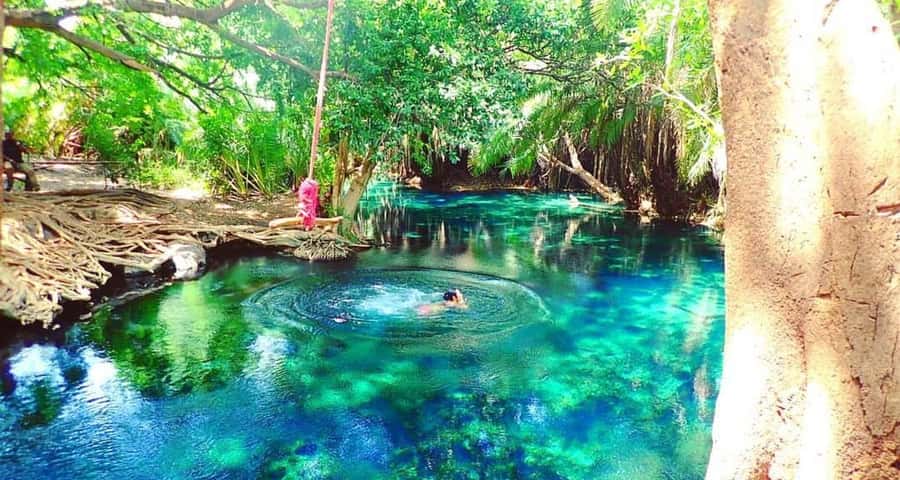 Mbudya island from Dar es salaam safari. - Key Things to Know Before You Go