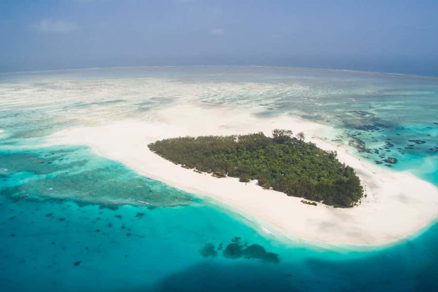Mbudya island from Dar es salaam safari. - Getting to the Island: Boat Transfers and What You Should Confirm