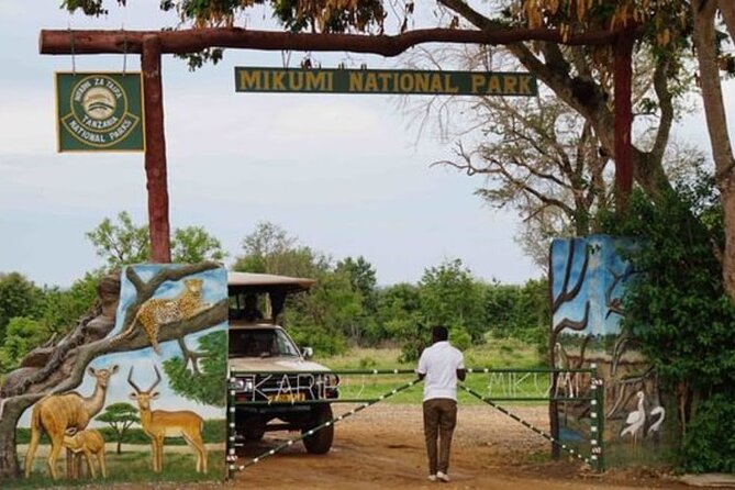 Mikumi National Park 2 Days/ 1 Night - Wildlife Odds at Mikumi: Lions, Elephants, and Open-Plain Scanning