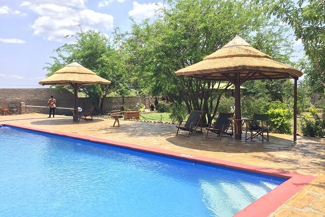 Mikumi National Park 2 Days/ 1 Night - The Comfort Factor: Comfortable Rides, Long Game-Drive Hours