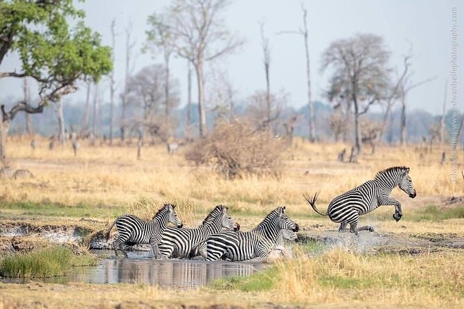 Mikumi National Park 3 Day Tour - Price and Value: Is $750 a Good Deal Here?