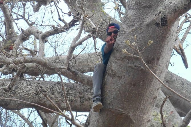 MIKUMI NATIONAL PARK - 3 Days - Meals and resort overnights: why “included” really helps on safari