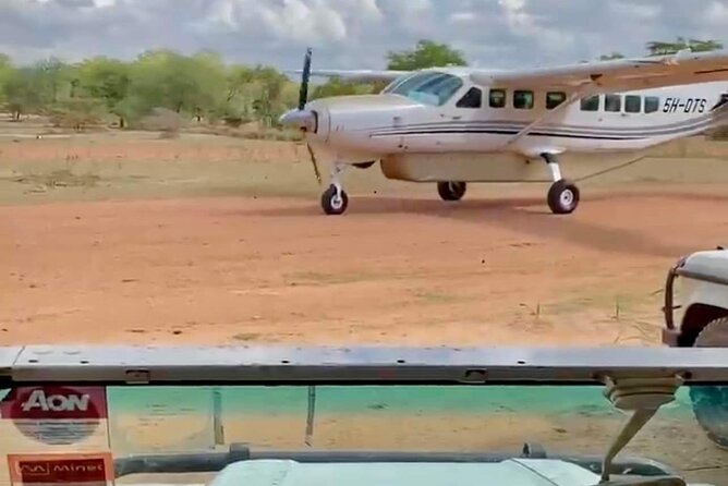 Mikumi National Park Day Trip - Flying From Zanzibar to Mikumi Airstrip: Fast, Bright, and Watchable
