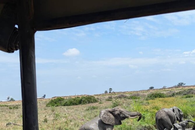 Mikumi National Park Day Trip by Train From Dar Es Salaam - The guide experience, especially with Hussein-style support