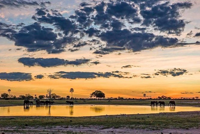 Mikumi National Park in a Day - A Day Tour from Morogoro - Meals, tea, and keeping energy up on an 11-hour day