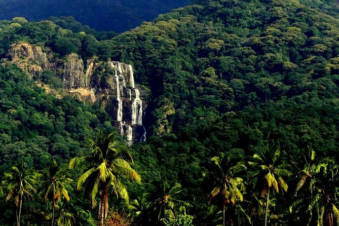 Mikumi National Park & Udzungwa Water Falls 3 Days Group Tour - Key things to know before you go