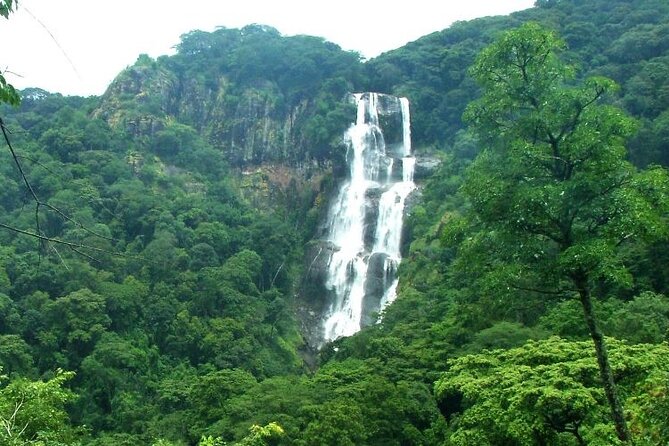 Mikumi National Park & Udzungwa Water Falls 3 Days Group Tour - Dar es Salaam pickup at 4:30AM, and the long-but-worth-it drive