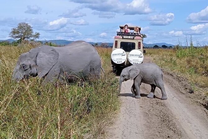 Mikumi Safari Tour: Day Trip Return Flight From Zanzibar - Key things that make this Mikumi day trip work