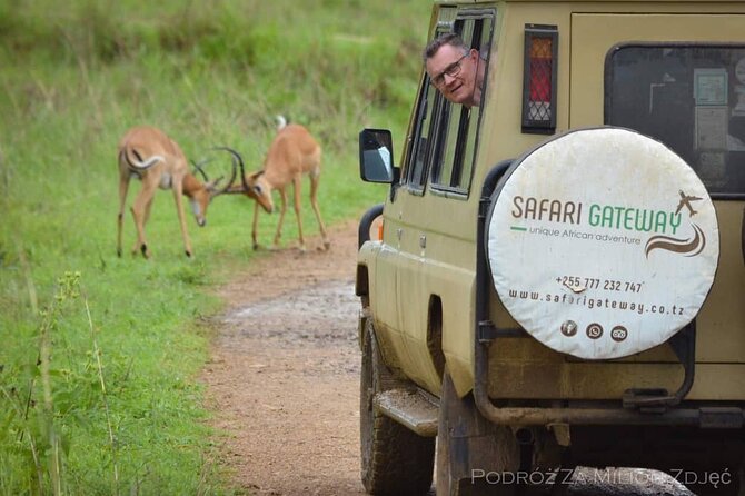 Mikumi Safari Tour: Day Trip Return Flight From Zanzibar - Snacks, drinks, and how to plan for comfort in the jeep
