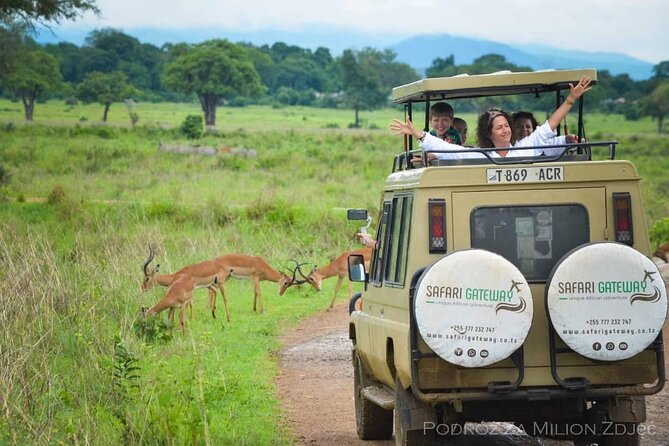 Mikumi Safari Tour: Day Trip Return Flight From Zanzibar - Small group size and guides: what “personalized” really means