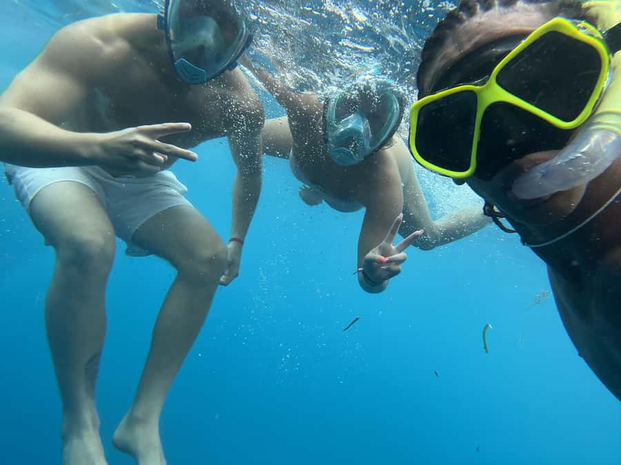 Mnemba dolphin & snorkel: from matemwe, pwani, kwingwa, Uroa - Key Things I’d Lock In Before You Go