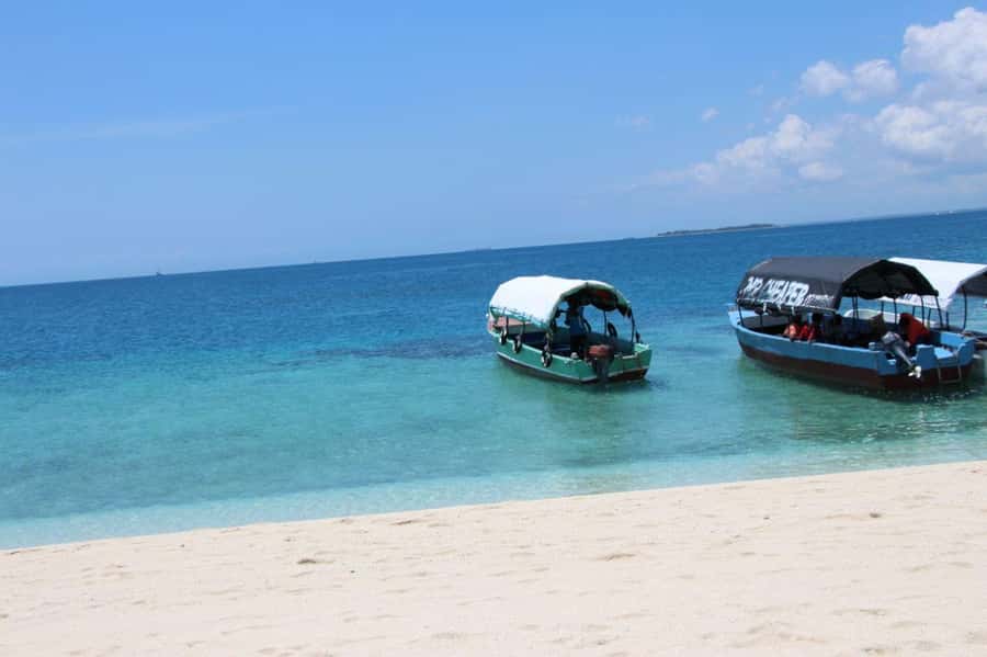Mnemba dolphin & snorkel: from matemwe, pwani, kwingwa, Uroa - The 8:00 Van Pickup and How the Boat Day Flows