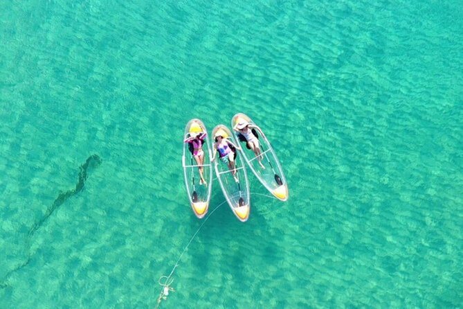Mnemba Dolphin Tour, Clear Kayak, Cooking Class, Horse Riding - Price and Value: Does $220 Add Up?