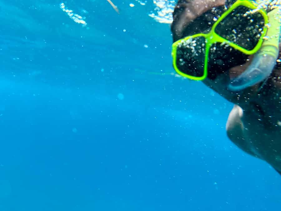 Mnemba from Kendwa & nungwi half day - Open-ocean dolphin swim near Mnemba: what to look for