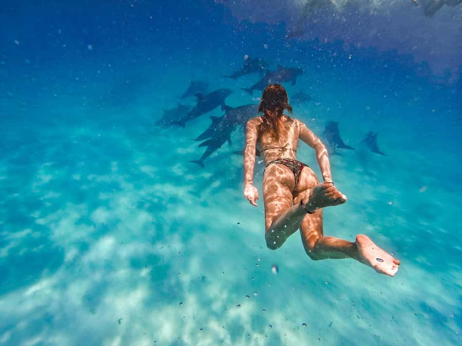 Mnemba Island: Dolphin Swim & Snorkeling with Optional Lunch - The real flow of the half-day: how the timing usually works
