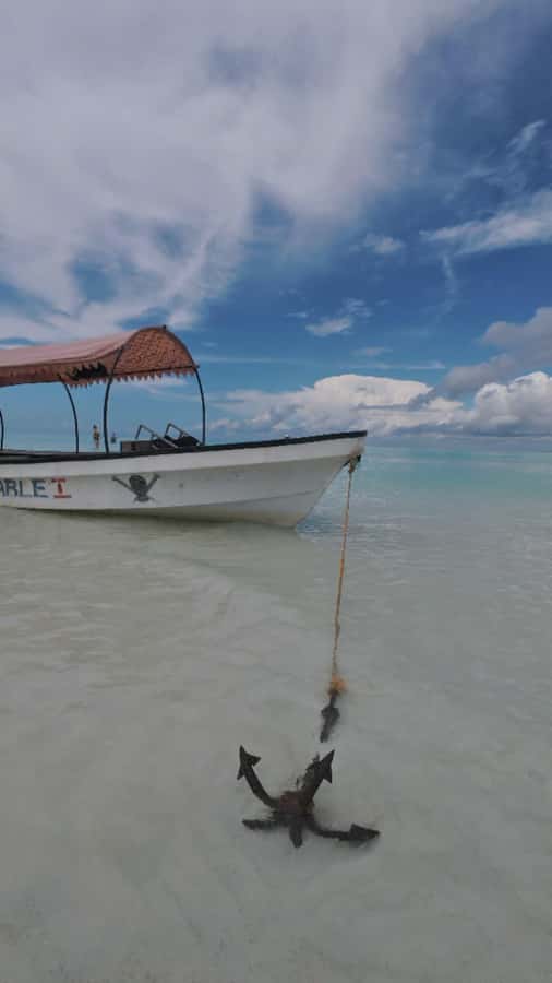 Mnemba Island: Dolphin Swim & Snorkeling with Optional Lunch - Boat ride, snacks, and the optional lunch that changes the mood