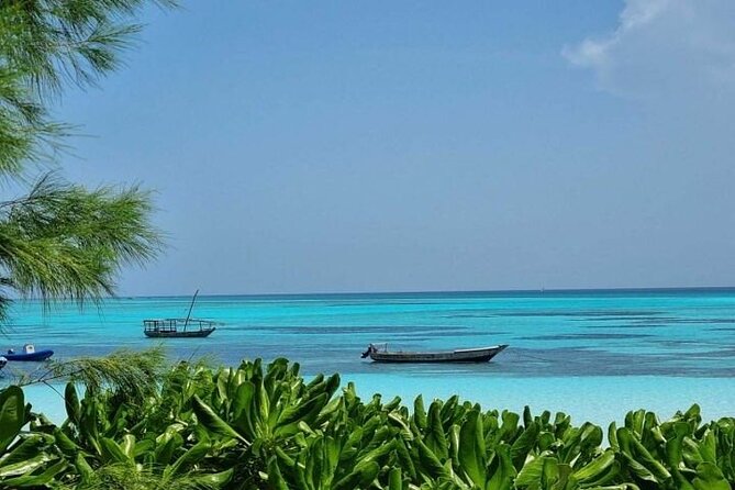 Mnemba Island Half Day Live Aquarium With Transfer - Zanzibar - Mnemba Island in 3 Hours: What You’re Paying For