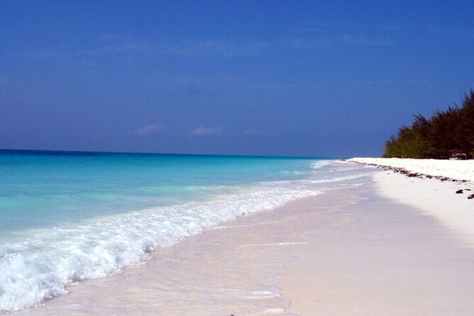 Mnemba Island Half Day Live Aquarium With Transfer - Zanzibar - Food on a Boat: Snacks and Fresh Fruits Are Not Just a Bonus