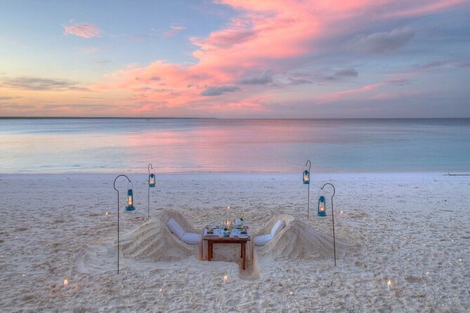 Mnemba Island Half Day Live Aquarium With Transfer - Zanzibar - Dolphin Watching Expectations: Fun Add-On, Not Your Main Plan