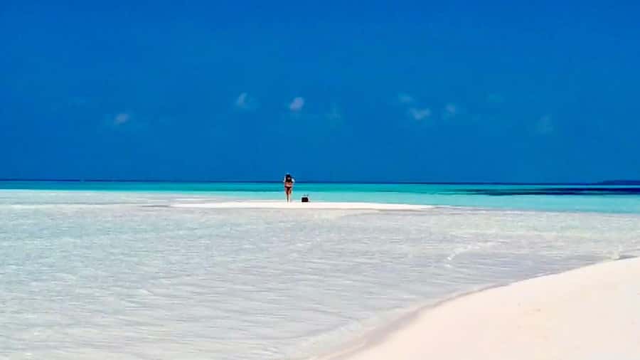 Mnemba Island, Jozani Forest, Starfish Adventure, The Rock - Key highlights you will care about