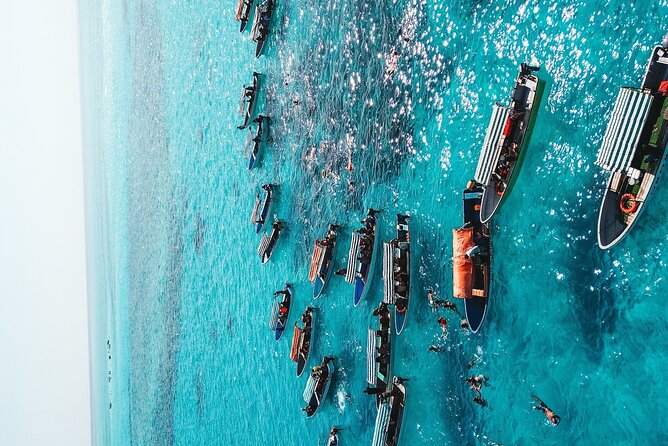 Mnemba Island, Nungwi Village & Sea Turtle Experience - Who should book this, and who might want a different plan