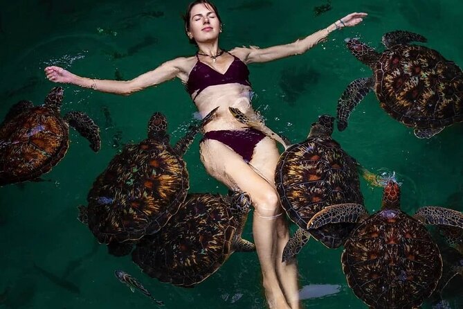 Mnemba Island, Nungwi Village & Sea Turtle Experience - FAQ