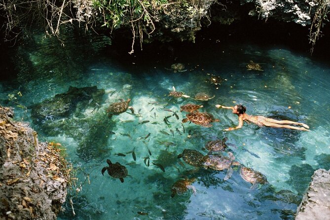 Mnemba Island, Nungwi Village & Sea Turtle Experience - Mnemba Island snorkeling, reef life without overthinking it