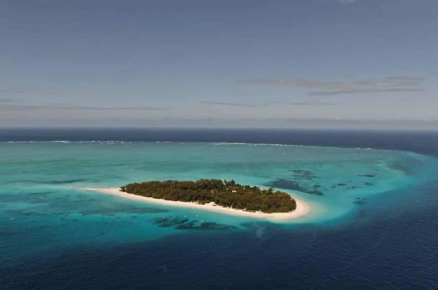 Mnemba Island, Prison Island, Secret Garden, Jozani Forest - Mnemba Island Atoll: Snorkeling, Dolphin Time, and a Shallow Sandbank
