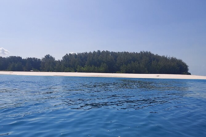 Mnemba Island Snorkeling and Dolphin tour - Key highlights you should care about