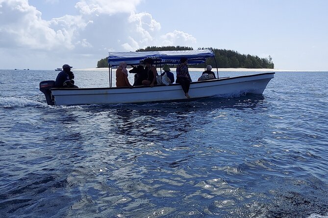 Mnemba Island Snorkeling and Dolphin tour - Mnemba Island snorkeling: why the northeast coast matters