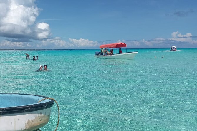 Mnemba Island Snorkeling and Dolphin tour - Private transportation and boat support: comfort that actually helps