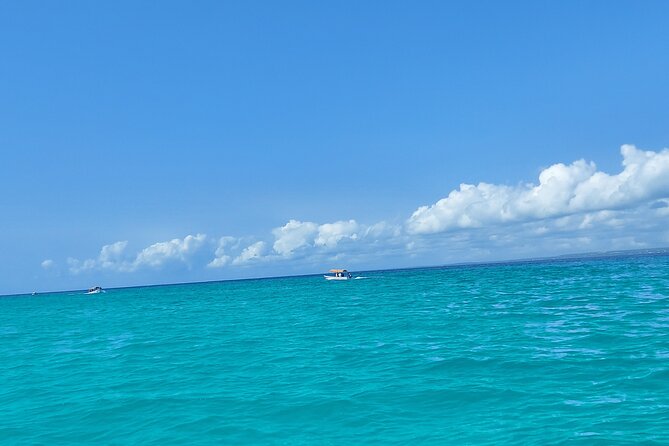 Mnemba Island Snorkeling and Dolphin tour - Dolphin time in open water: how to enjoy it even if you miss them