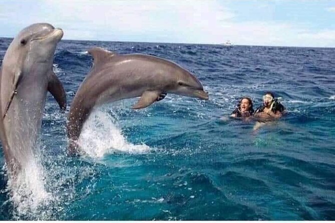Mnemba Island snorkeling and Swimming with Dolphin - The Dolphin Point Swim: The Main Moment, With Real-World Flex