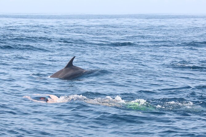 Mnemba Island Snorkeling and Swimming with Dolphins - Mnemba Island snorkeling in Zanzibar, what you can realistically expect