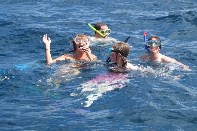 Mnemba Island Snorkeling and Swimming with Dolphins - What could feel disappointing, and how to protect your day