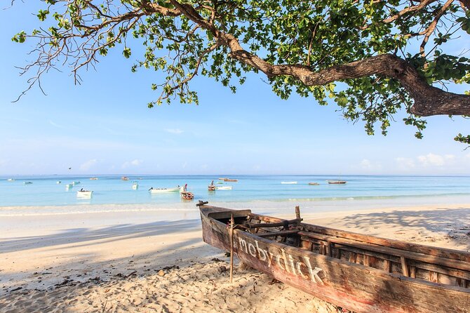 Mnemba Island Snorkeling and Swimming with Dolphins - How the 5-hour day works from Stone Town