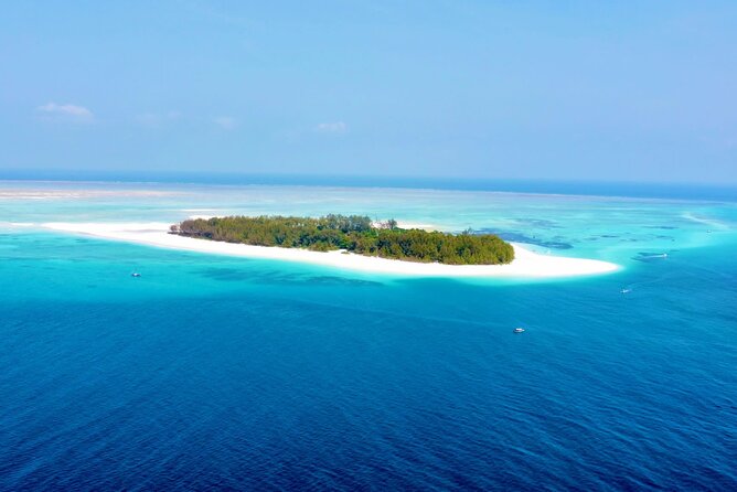 Mnemba island snorkeling tour - Mnemba Island snorkeling: what makes it worth your morning